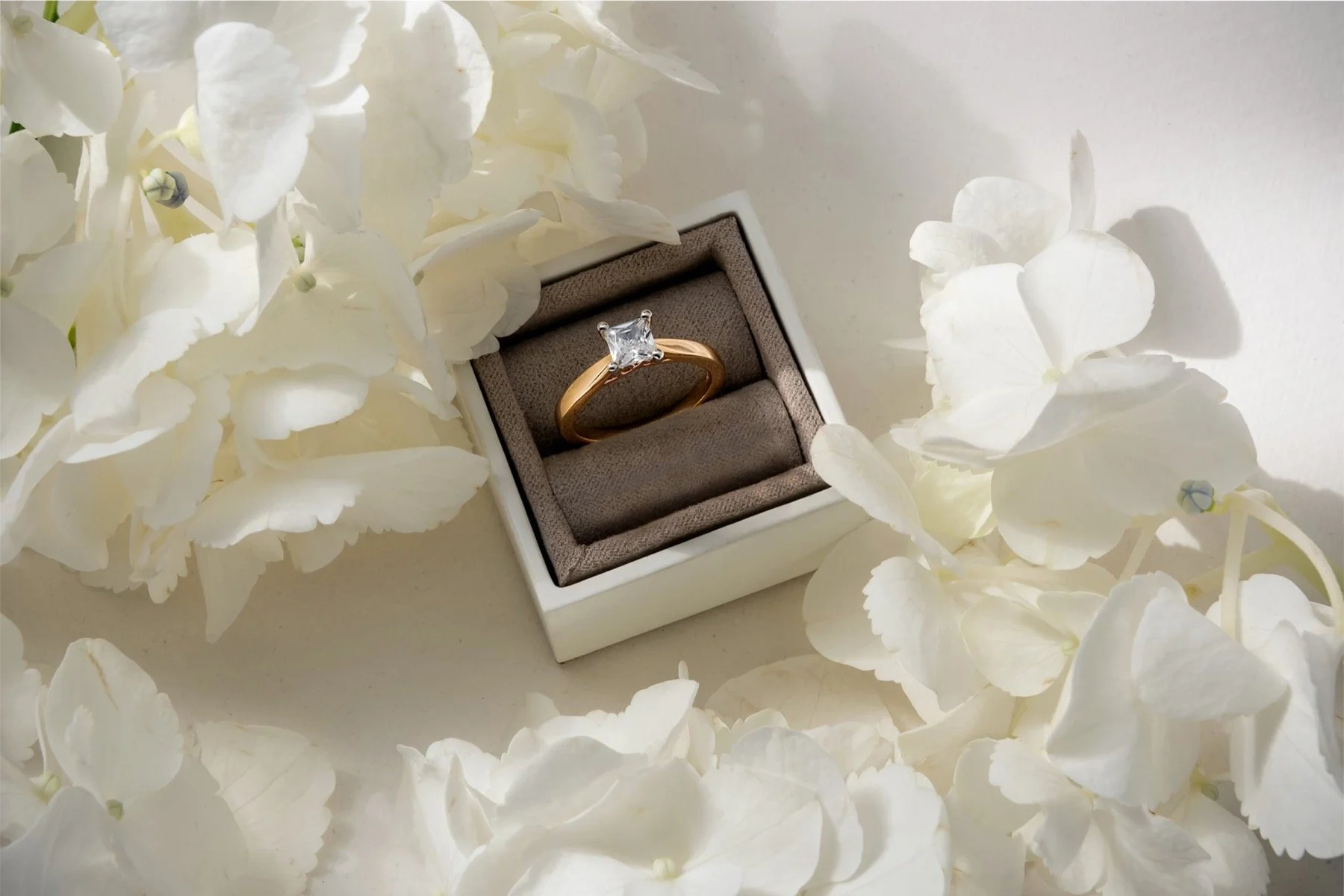 Clogau compose 2025